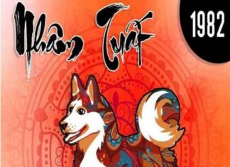 tử vi người sinh năm 1982