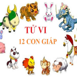 Xem tử vi 12 con giáp hôm nay, thứ 2, ngày 29/10/2018