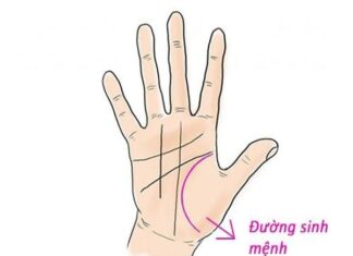 Xem tuổi thọ qua bàn tay, luận vận mệnh qua bàn tay