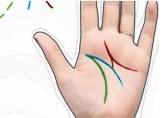 Chỉ tay chữ M – Tài năng tiềm ẩn, phú quý suốt đời