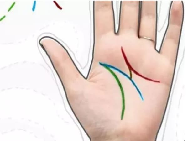 Chỉ tay chữ M – Tài năng tiềm ẩn, phú quý suốt đời