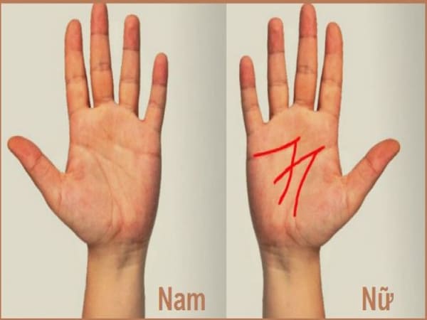 chỉ tay chữ m