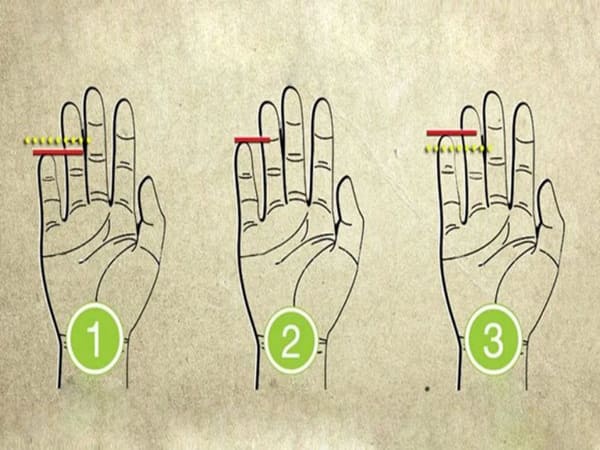 Nhân tướng học chỉ tay - Đường Sự nghiệp (Đường Công danh)