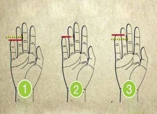 Nhân tướng học chỉ tay, cấu trúc và vị trí đường chỉ tay chính