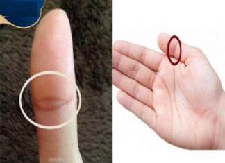 Vân tay mắt phượng – Vân tay của sự cao quý trong nhân tướng học