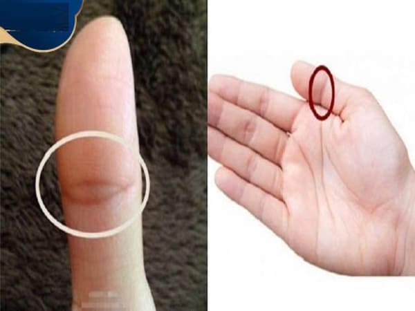 Ứng dụng của <yoastmark class=