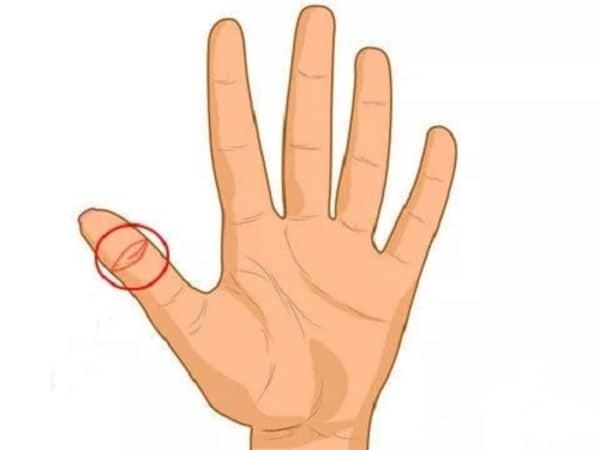 Hình dạng <yoastmark class=
