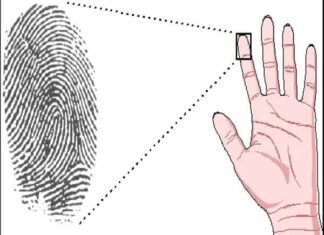 Vân tay nước ngược điểm đặc biệt của người sở hữu