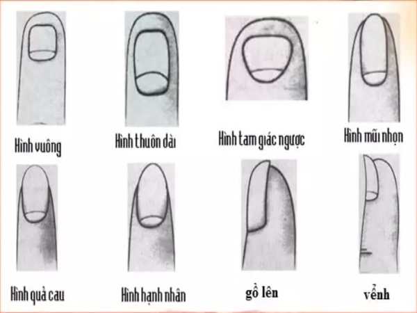 <yoastmark class=