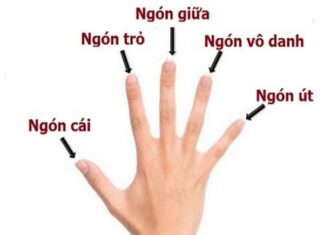 Xem tướng qua ngón tay dự đoán tài vận sự nghiệp tương lai