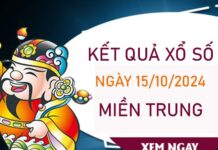 Thống kê XSMT 15/10/2024 phân tích loto đặc biệt