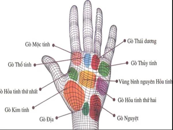 Các đường chỉ tay đặc biệt - Đường Gò