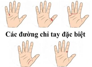 Các đường chỉ tay đặc biệt chi ra vận số cuộc đời