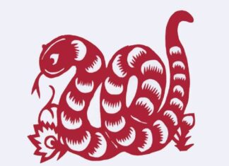 tuổi tỵ sinh năm bao nhiêu