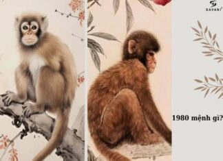 Sinh năm 1980 mệnh gì, tuổi Canh Thân hợp với tuổi nào? sinh năm 1980 mệnh gì