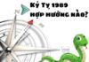 tuổi kỷ tỵ hợp hướng nào