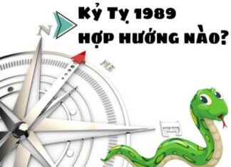 tuổi kỷ tỵ hợp hướng nào