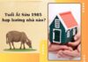 tuổi ất sửu hợp hướng nào