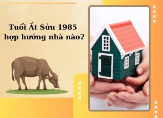 Giải đáp tuổi Ất Sửu hợp hướng nào để bình an, phát tài? tuổi ất sửu hợp hướng nào