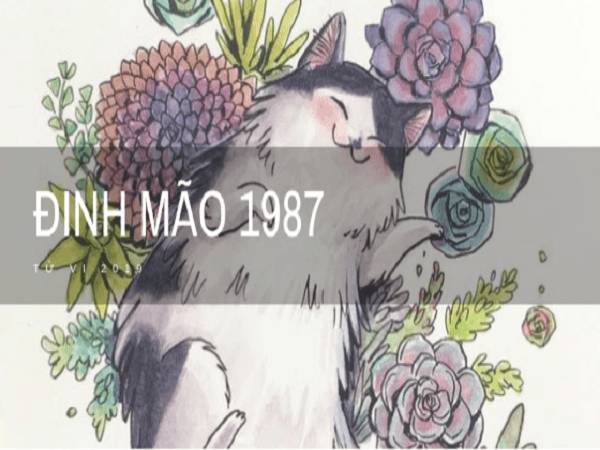 Tổng Quan Về Tuổi Đinh Mão Tuổi Đinh Mão hợp hướng nào