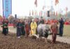 lễ cày tịch điền