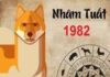 tuổi nhâm tuất hợp hướng nào