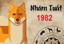 tuổi nhâm tuất hợp hướng nào