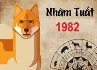 Hướng nào hợp tuổi Nhâm Tuất hợp tăng cường may mắn? tuổi nhâm tuất hợp hướng nào