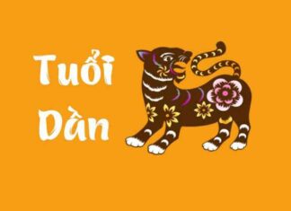 Tuổi Dần sinh năm bao nhiêu và đặc điểm về tính cách? tuổi dần sinh năm bao nhiêu