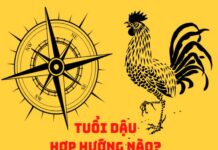 tuổi dậu hợp hướng nào