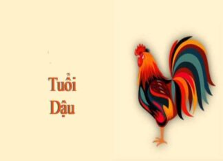 Tuổi gà sinh năm bao nhiêu và đặc điểm người tuổi Dậu tuổi gà sinh năm bao nhiêu