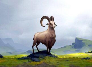 tuổi mùi sinh năm bao nhiêu