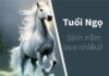 tuổi ngọ sinh năm bao nhiêu