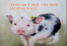 tuổi quý hợi hợp hướng nào