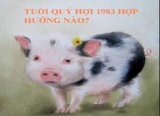 Khám phá hướng nhà nào hợp tuổi Quý Hợi gia đạo bình an tuổi quý hợi hợp hướng nào