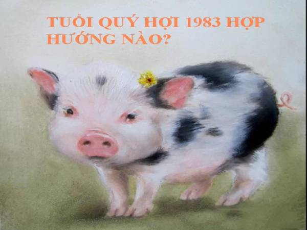 Tổng quan về tuổi Quý Hợi tuổi quý hợi hợp hướng nào