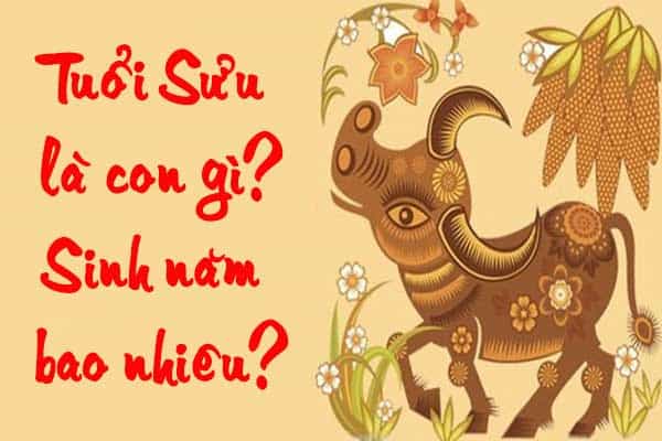 Tuổi Sửu sinh năm bao nhiêu?