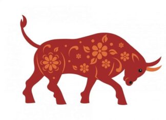 Bật mí tuổi Sửu sinh năm bao nhiêu và hợp với tuổi nào? Bật mí tuổi Sửu sinh năm bao nhiêu và hợp với tuổi nào?