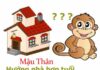 tuổi Mậu Thân hợp hướng nào