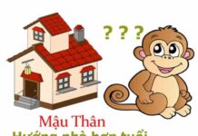 tuổi Mậu Thân hợp hướng nào