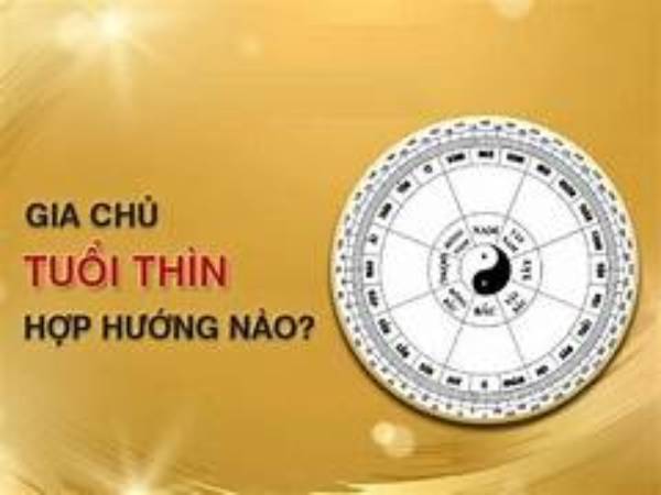 Tổng quan về người tuổi Thìn