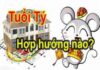 tuổi tý hợp hướng nào