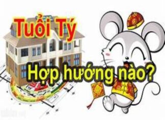 Tuổi Tý hợp hướng nào, nên chọn hướng nào kích tài lộc tuổi tý hợp hướng nào