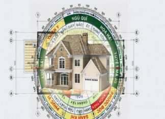 1993 hợp hướng nào để cải thiện vận may, sức khỏe 1993 hợp hướng nào