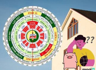 1995 hợp hướng nào tốt cho tài lộc, bình an và sức khỏe 1995 hợp hướng nào