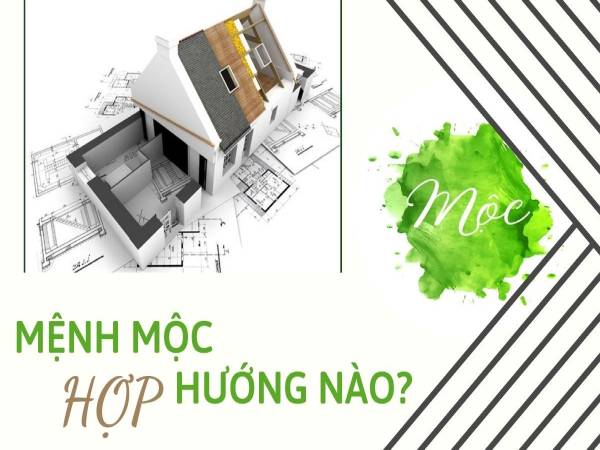 Người mạng Mộc hợp hướng nào?