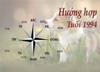 Giáp Tuất 1994 hợp hướng nào mang tài lộc và bình an 1994 hợp hướng nào