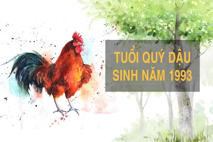 Thông tin về người sinh năm 1993