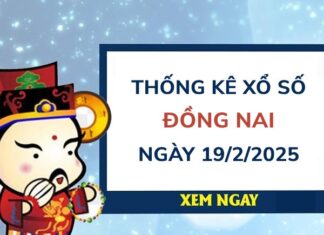 Thống kê giải đặc biệt XS Đồng Nai 19/2/2025 thứ 4