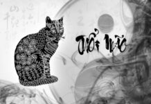Con số may mắn tuổi Mão 27/3/2025 hôm nay